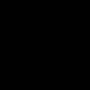 Meet your Posher, Emanuel